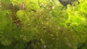 20260804_135348.jpg 20260804_135348.jpg