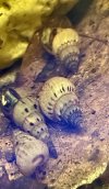 S4.jpeg