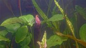 20260818_214655.jpg 20260818_214655.jpg
