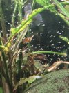 20260819_171121.jpg