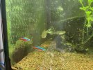 IMG_1403.jpeg