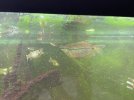IMG_1413.jpeg