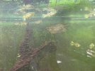 IMG_1415.jpeg