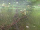 IMG_1418.jpeg