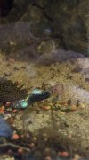 IMG_4110.jpeg