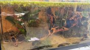 IMG_4112.jpeg