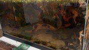 IMG_4113.jpeg