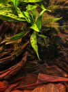 file_00000000122081f4aebf6431e9b93fd4.png