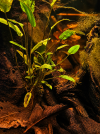 file_000000004e9c81f496e688350a00c480.png