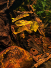 file_000000004e5c8246adbab327de2f6639.png