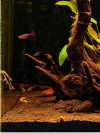 file_00000000fcb08243a09cca28b2be35c3.png
