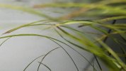 PXL_20260924_121214445.MP~2.jpg
