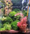 20260924_173523.jpg