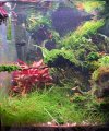 20260924_173530.jpg 20260924_173530.jpg