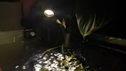 PXL_20260924_180204437.MP~2.jpg