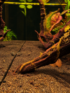 file_00000000ffb8820a86425d0813bfdb91.png