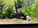 IMG_2147.jpeg