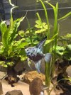 IMG_2169.jpeg