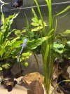IMG_2170.jpeg