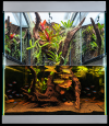 file_00000000bd7c8211a13890880d8962ab.png