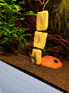 file_00000000653081f4b055c8580695271a.png