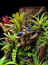 file_000000002de481f5bdeb37fd8dba5db9.png