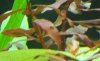 100_1119.jpg