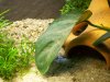 100_1118.jpg