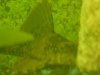 DSCN1110.JPG