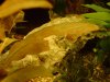 DSC00063r.JPG