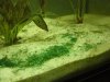 400_DSC03799.jpg