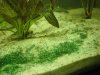 400_DSC03795.jpg