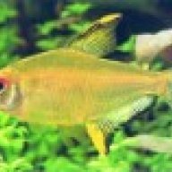Keiko