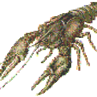 franklin84