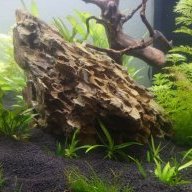 Aquadreamer