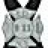 Pandafan