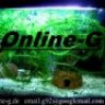 Online-G