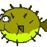 kugelfisch