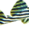 l46