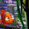 Nemo79