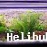 Helihuber