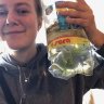 phineas_schnecke