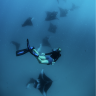 Oceangirl