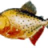 Piranha