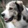 Hilde