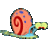 Bisamuc