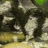 pfaelzer63