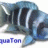 AquaTon