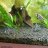 NEW Aquarium