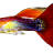 AirflareX